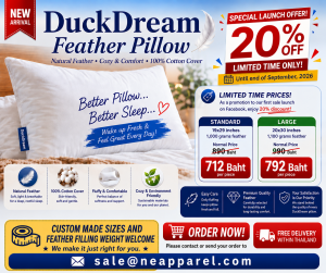 DuckDream_Final_Banner